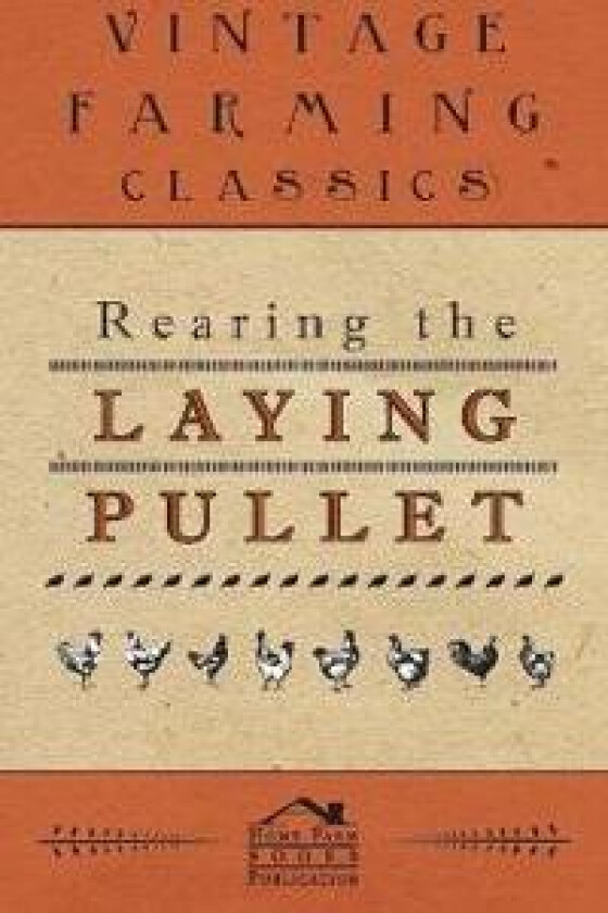 Rearing the Laying Pullet