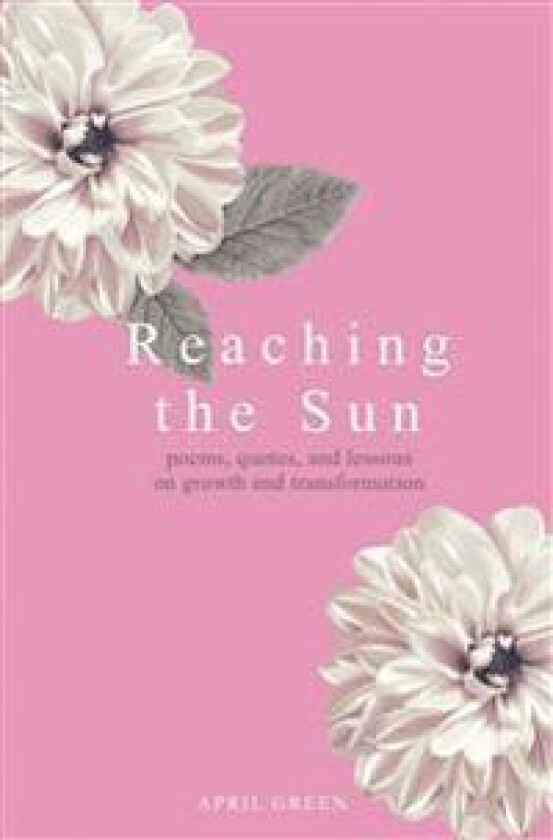 Reaching the Sun
