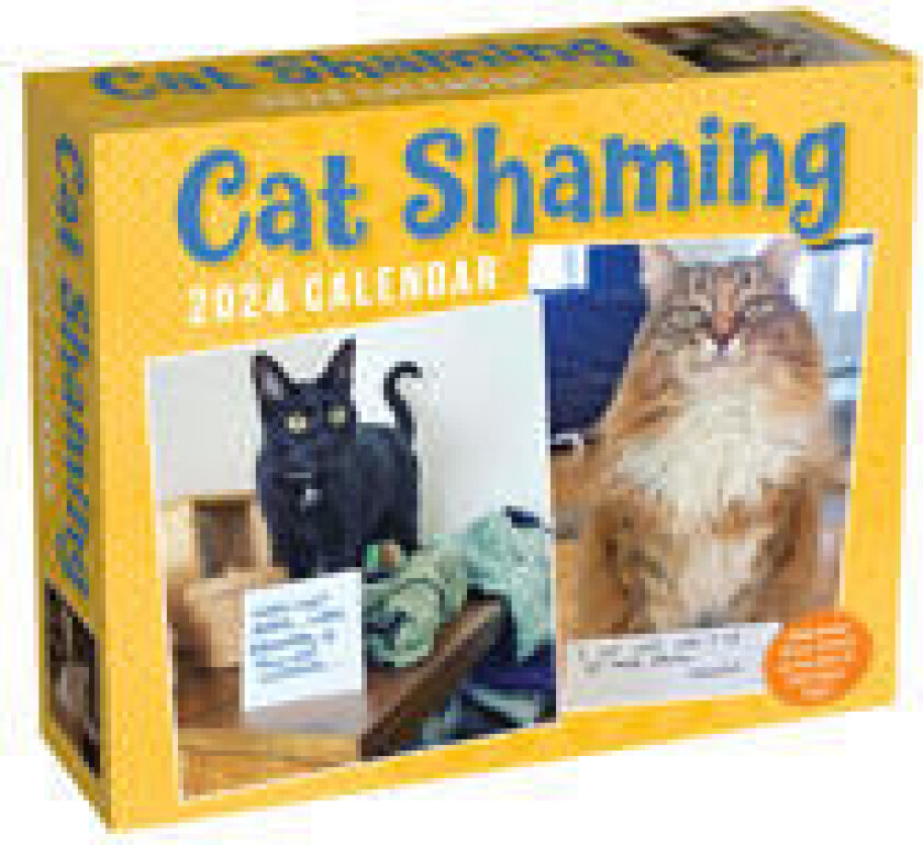 Cat Shaming 2024 Day-to-Day Calendar