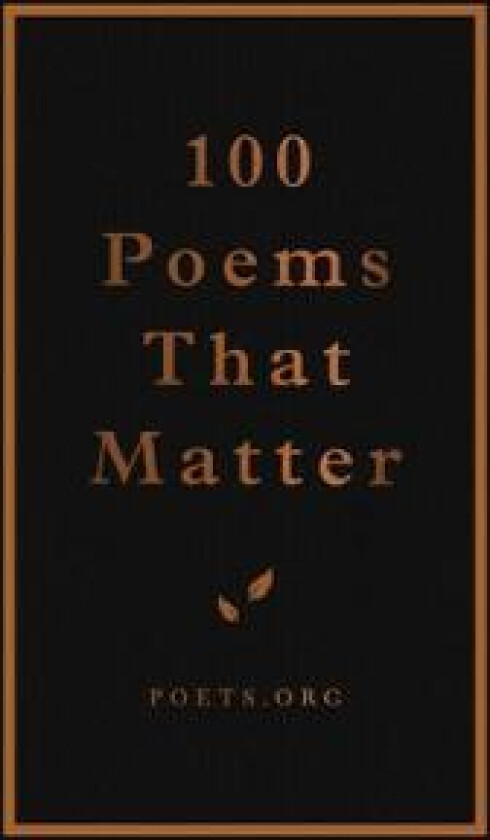 100 POEMS THAT MATTER