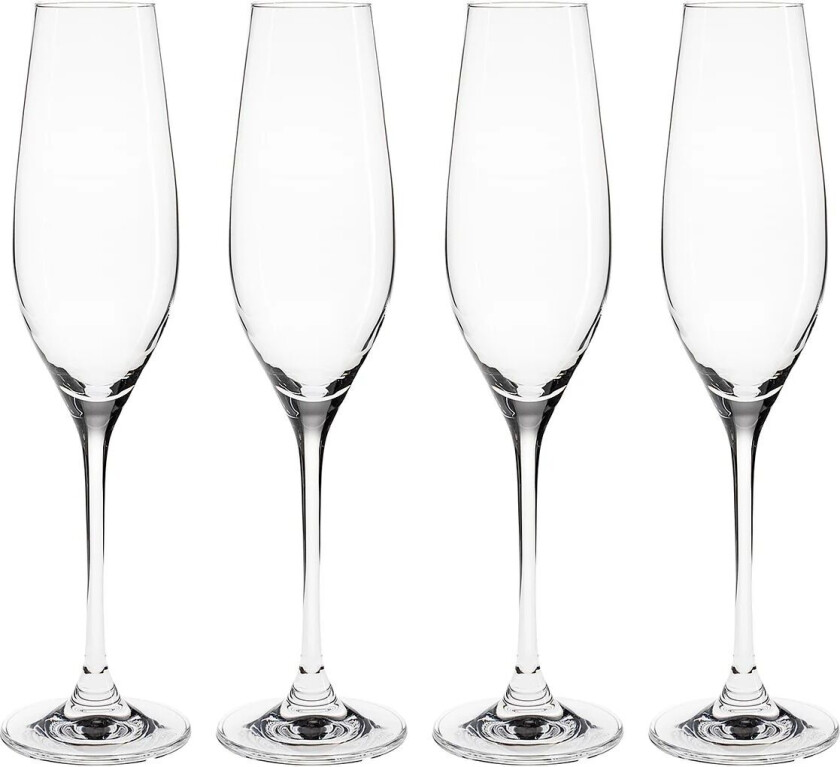 Karlevi champagneglass 4 stk. 21 cl