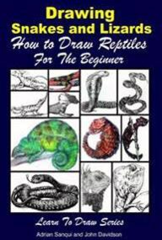 Drawing Snakes and Lizards - How to Draw Reptiles For the Beginner