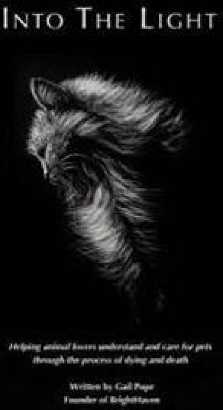 Into the Light: Helping Animal Lovers Understand and Care for Pets Through the Process of Dying and Death