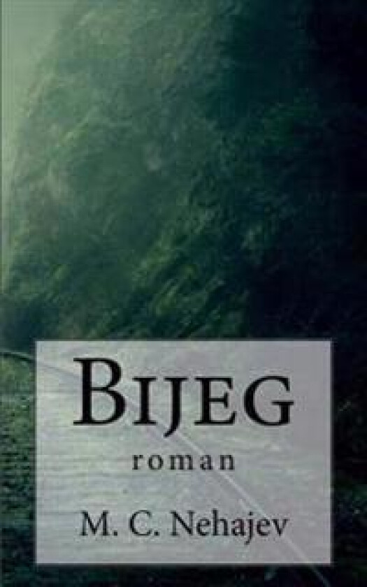 Bijeg: Roman