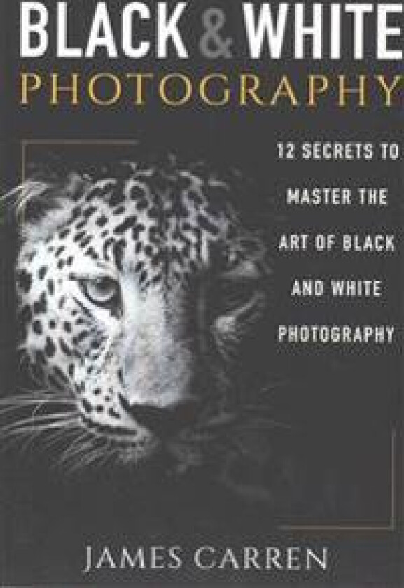 Black and White Photography: 12 Secrets to Master the Art of Black and White Photography