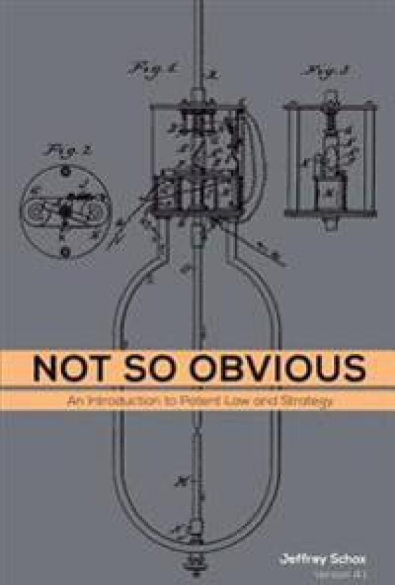 Not So Obvious: An Introduction to Patent Law and Strategy