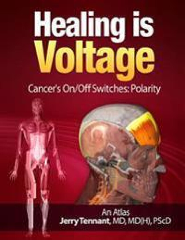 Healing is Voltage: Cancer's On/Off Switches: Polarity