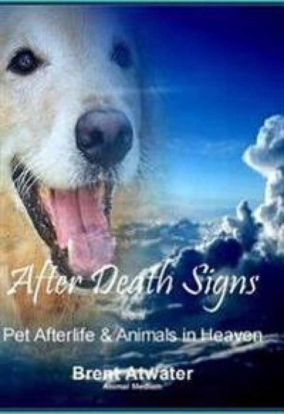 After Death Signs from Pet Afterlife & Animals in Heaven: How to Ask for Signs & Visits and What It Means