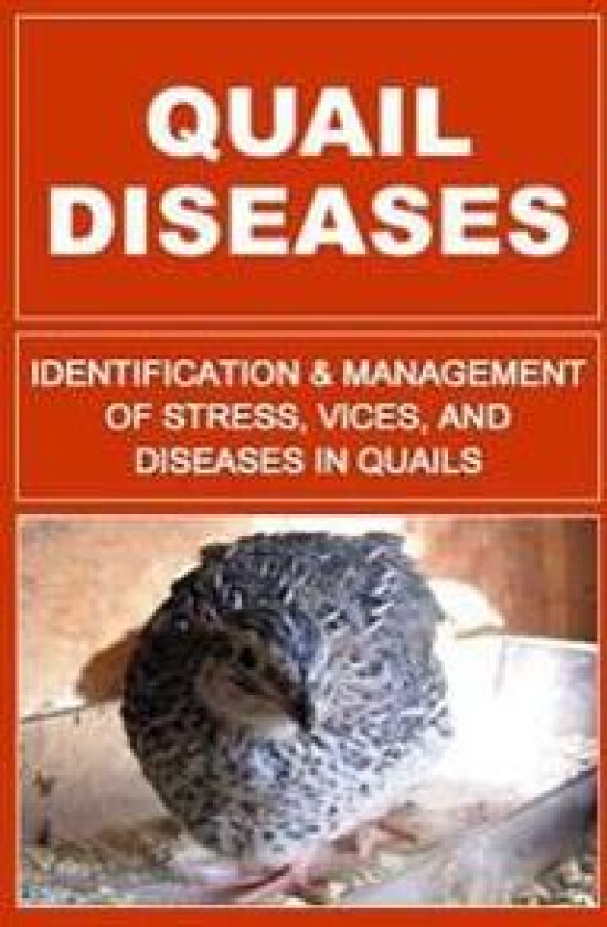 Quail Diseases: Identification and Management of Stress, Vices, and Diseases in Quails