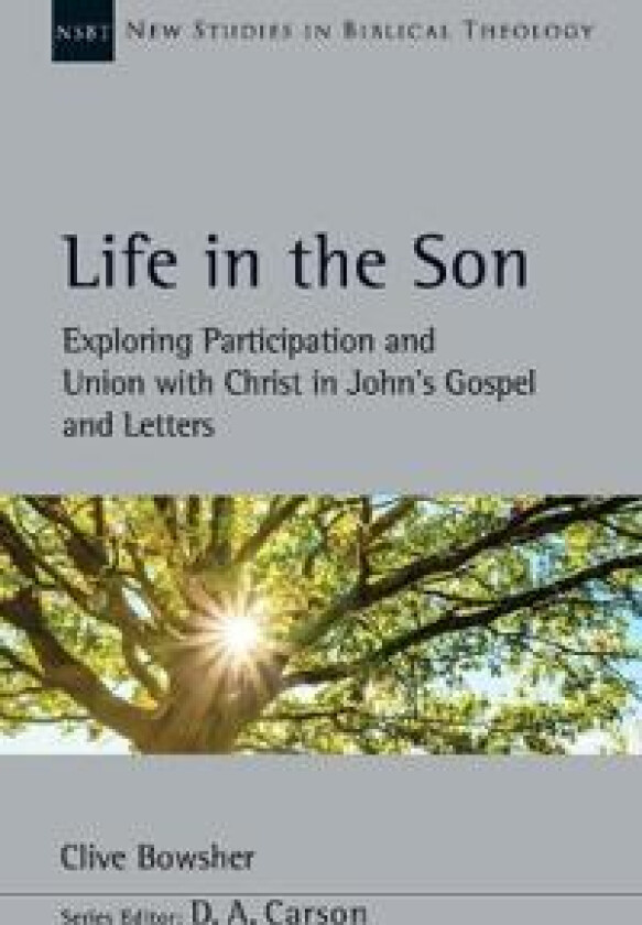 Life in the Son