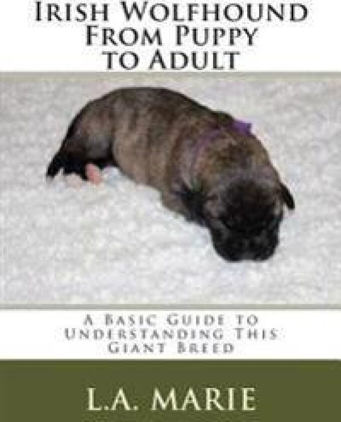 Irish Wolfhound from Puppy to Adult: A Basic Guide to Understanding This Giant Breed