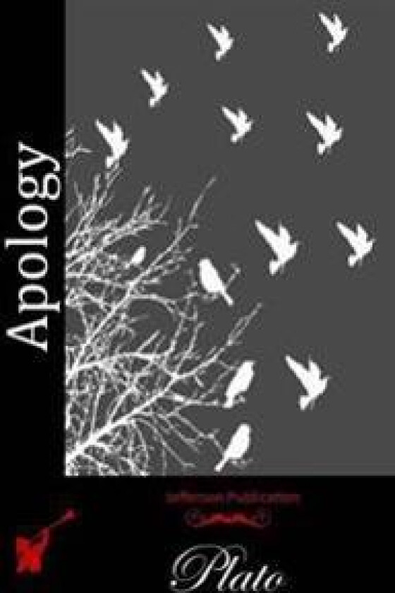 Apology