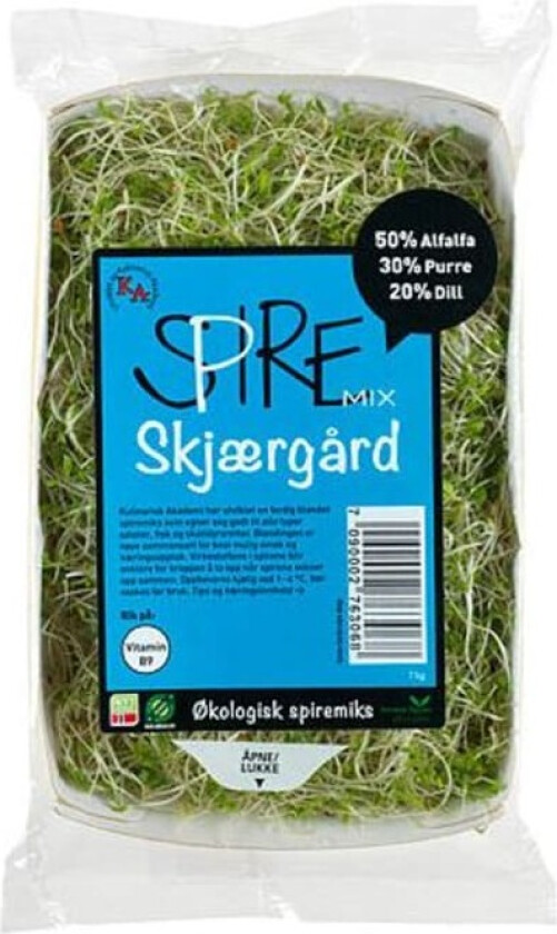 Spirer