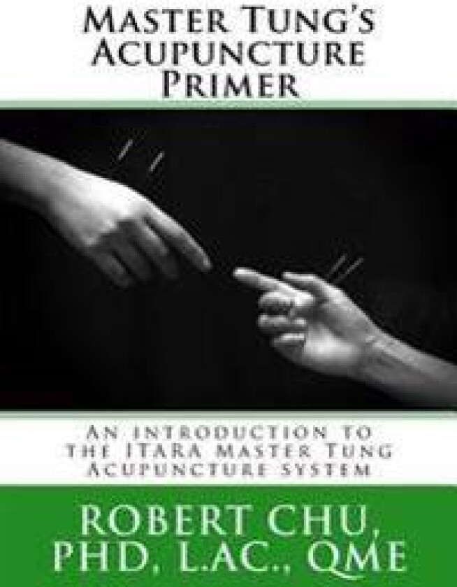 Master Tung's Acupuncture Primer: An introduction to the Master Tung Acupuncture system