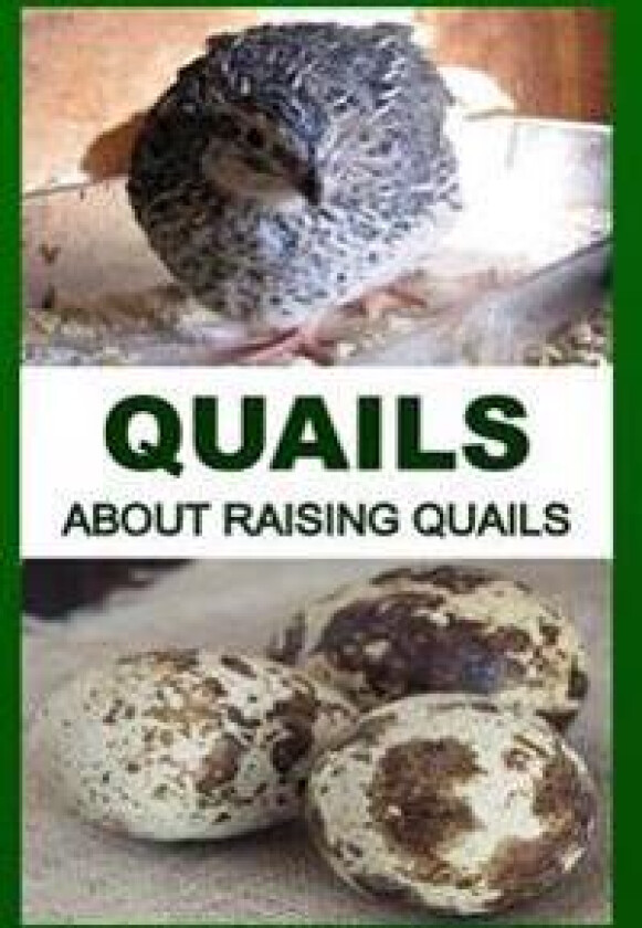 Quails: About Raising Quails