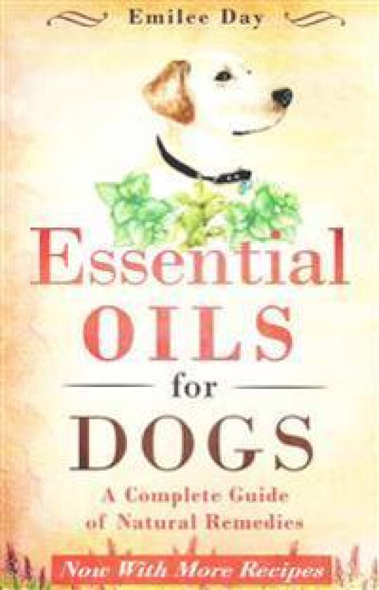 Essential Oils for Dogs: A Complete Guide of Natural Remedies
