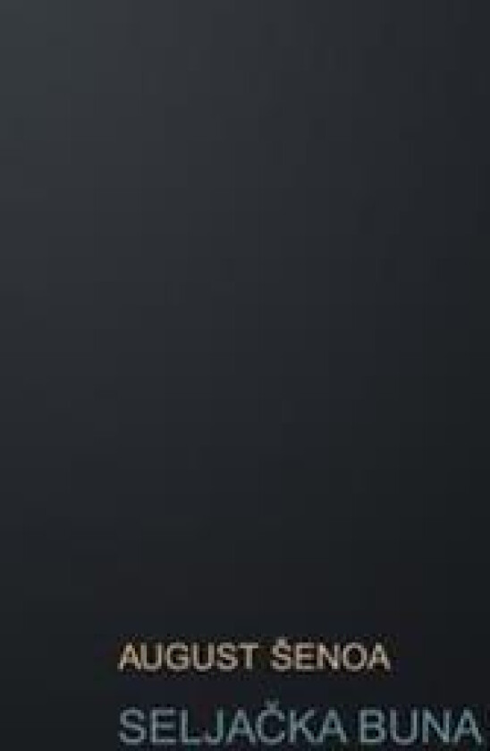 Seljacka Buna: Povijesni Roman