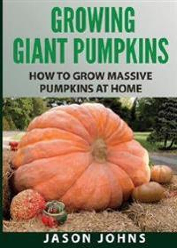 Growing Giant Pumpkins - How To Grow Massive Pumpkins At Home