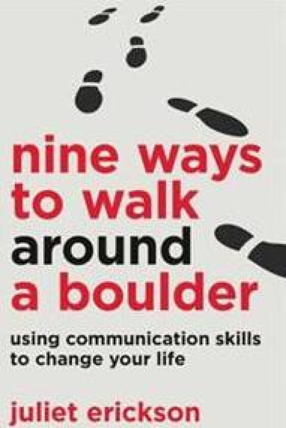 Nine Ways to Walk Around a Boulder: using communication skills to change your life