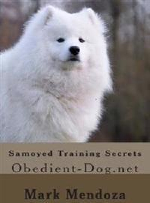 Samoyed Training Secrets: Obedient-Dog.Net