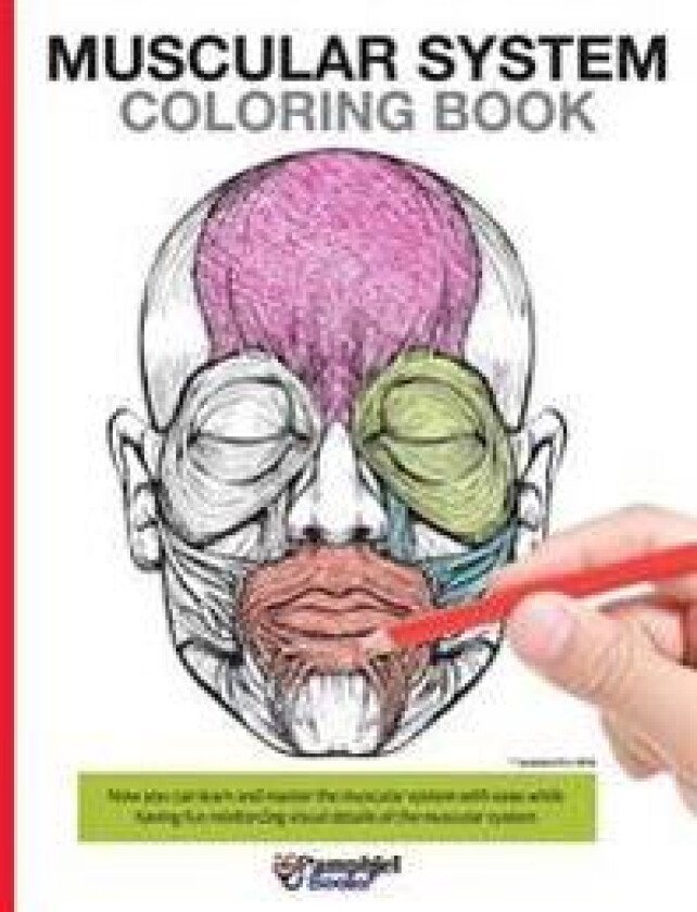 Muscular System Coloring Book: Now You Can Learn and Master the Muscular System with Ease While Having Fun