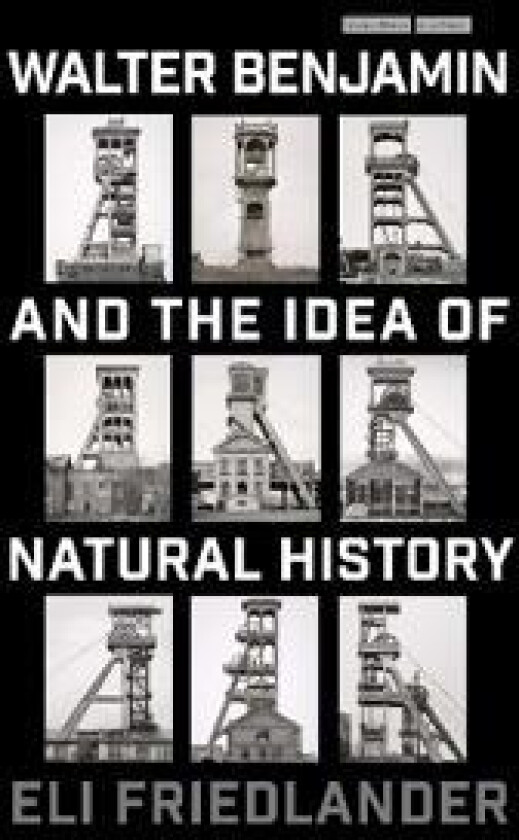 Walter Benjamin and the Idea of Natural History