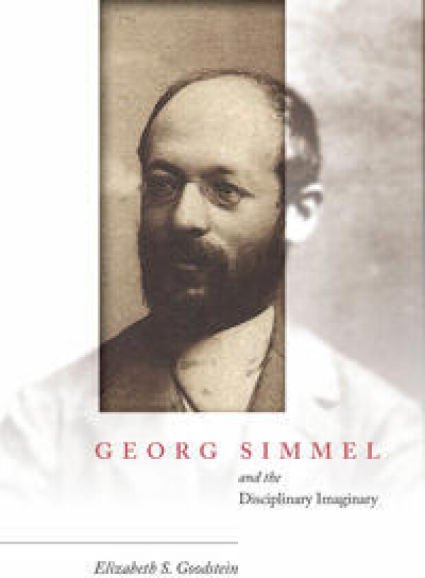 Georg Simmel and the Disciplinary Imaginary