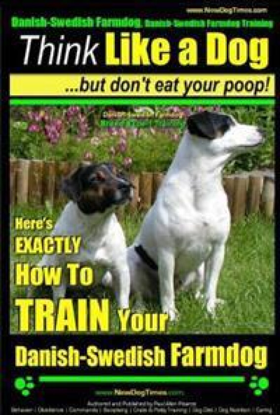 Danish-Swedish Farmdog, Danish-Swedish Farmdog Training Think Like a Dog But Don't Eat Your Poop! Danish-Swedish Farmdog Breed Expert Training: Here's