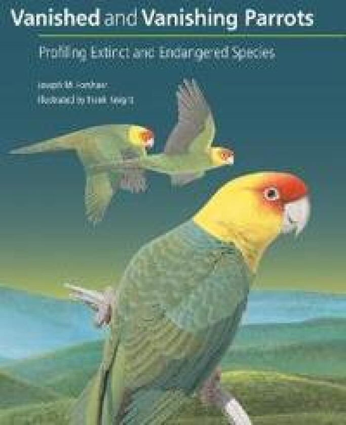 Vanished and Vanishing Parrots