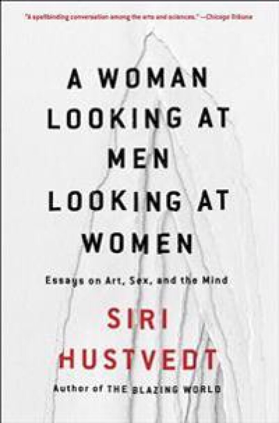 A Woman Looking at Men Looking at Women: Essays on Art, Sex, and the Mind