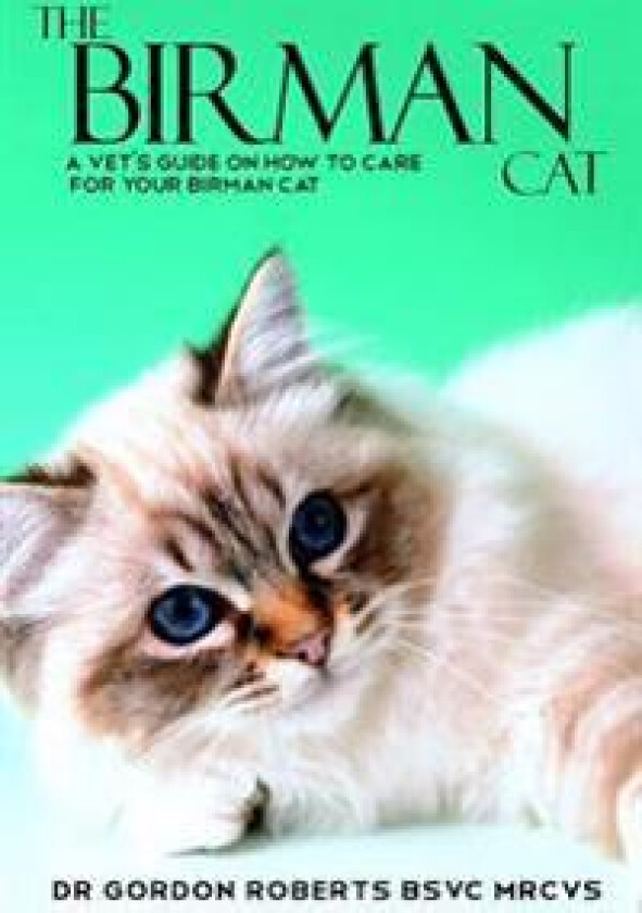 The Birman Cat: A vet's guide on how to care from your Birman cat