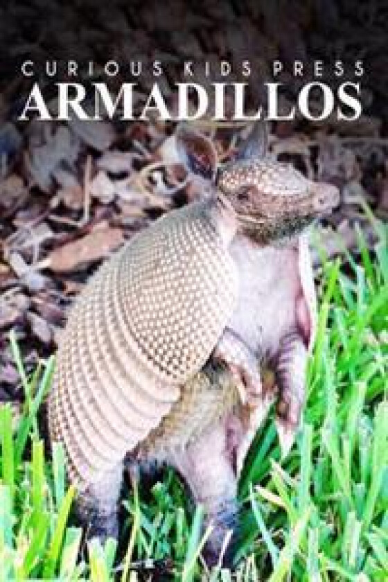 Armadillos - Curious Kids Press: Kids Book about Animals and Wildlife, Children's Books 4-6