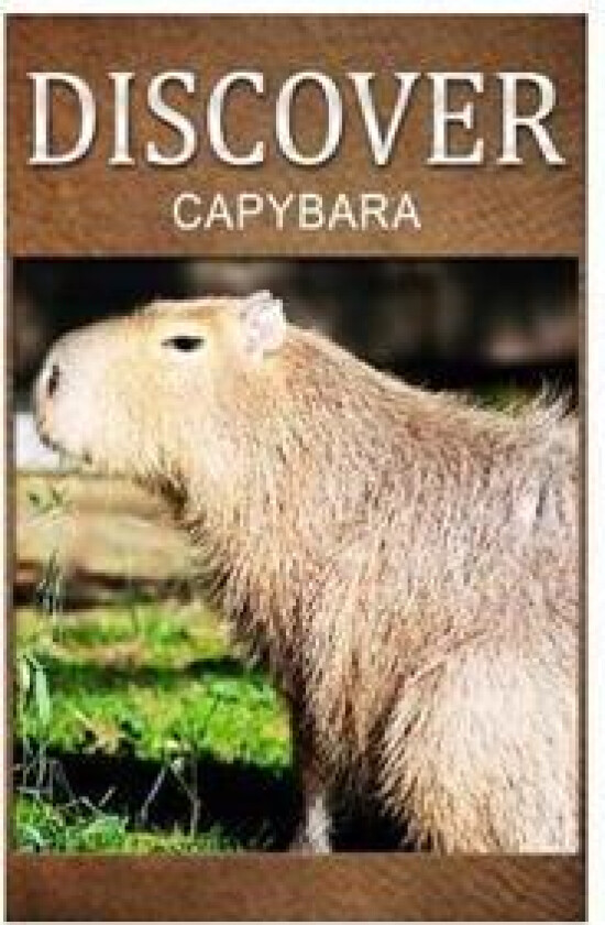 Capybara - Discover: Early Reader's Wildlife Photography Book