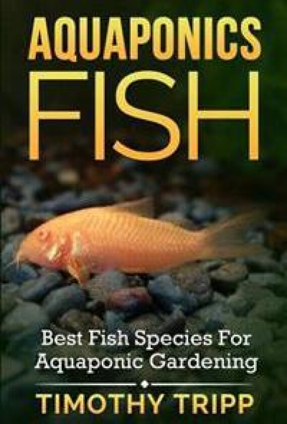 Aquaponics Fish: Best Fish Species for Aquaponic Gardening