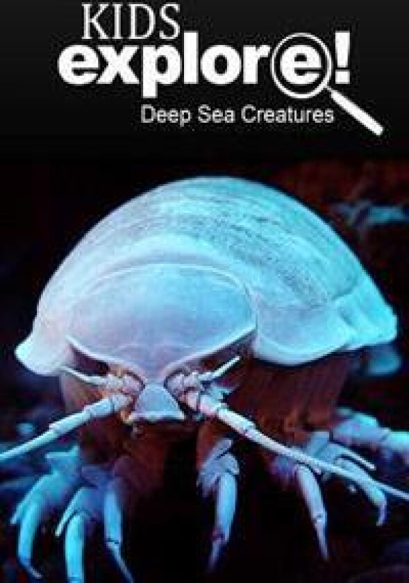 Deep Sea Creatures - Kids Explore: Animal Books Nonfiction - Books Ages 5-6