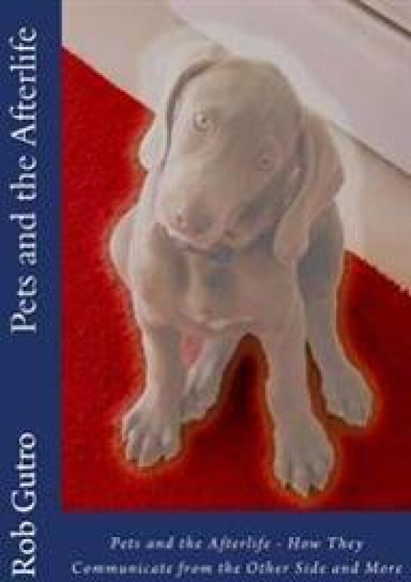 Pets and the Afterlife