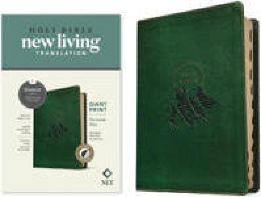 NLT Personal Size Giant Print Bible, Filament Edition