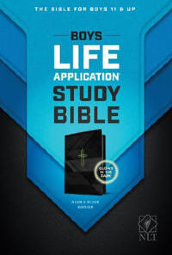 Boys Life Application Study Bible NLT, Tutone