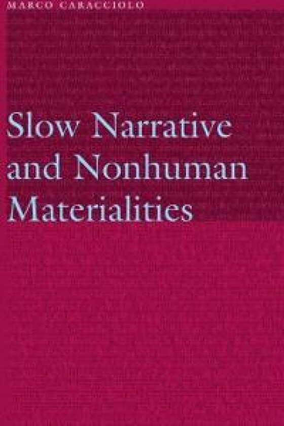 Slow Narrative and Nonhuman Materialities