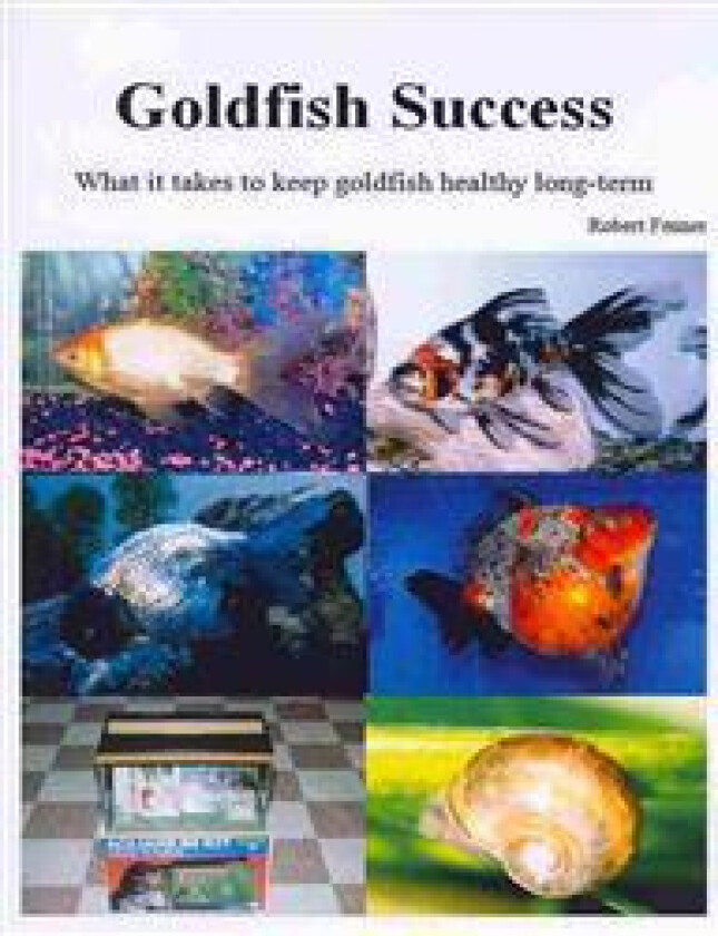 Goldfish Success: What It Takes to Keep Goldfish Healthy Long-Term
