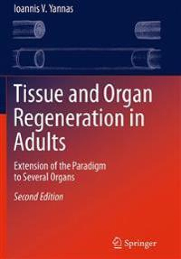 Tissue and Organ Regeneration in Adults