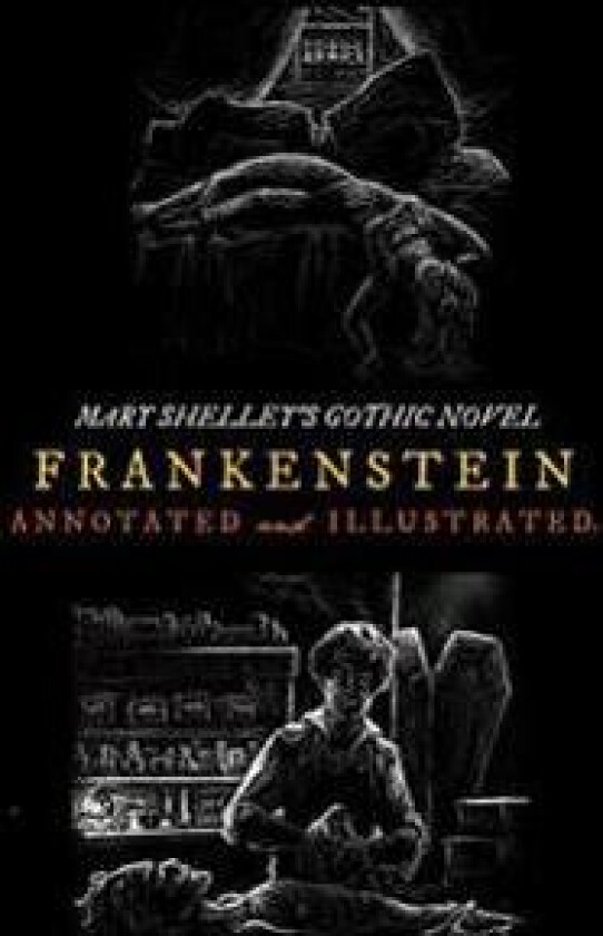 Frankenstein; Or, the Modern Prometheus (the 1818 Text): An Annotated & Illustrated Novel