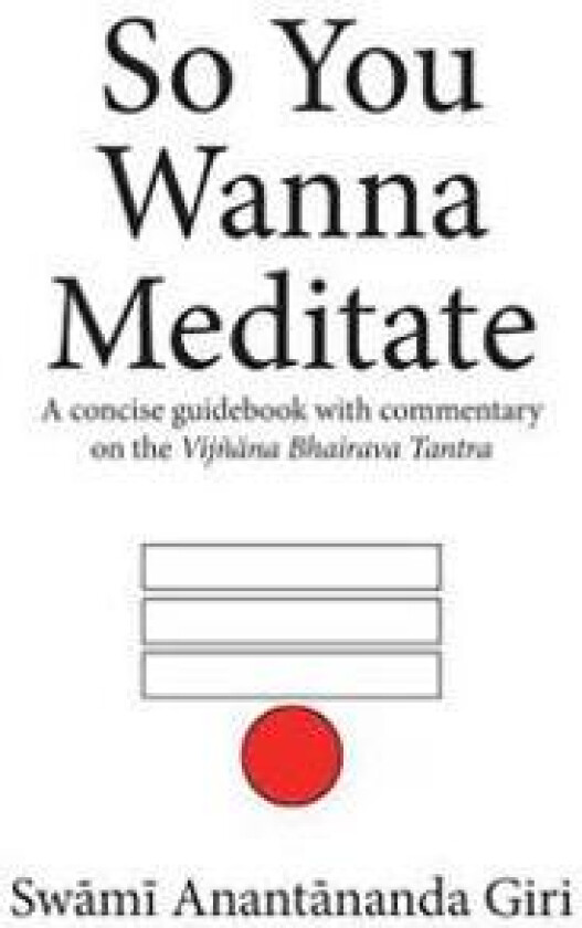 So You Wanna Meditate: A Concise Guidebook with Commentary on the Vijnana Bhairava Tantra