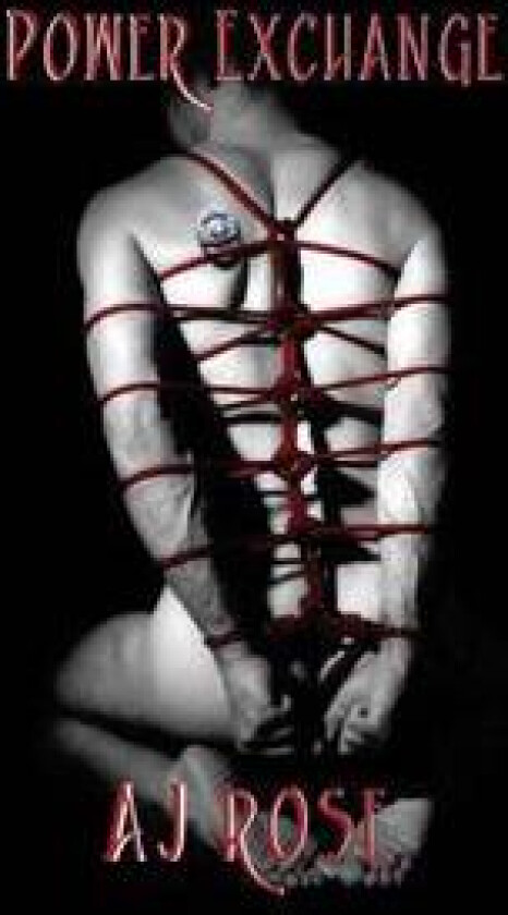 Power Exchange (Power Exchange #1)