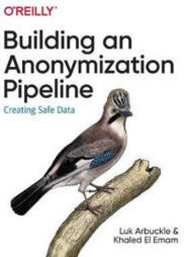 Building an Anonymization Pipeline