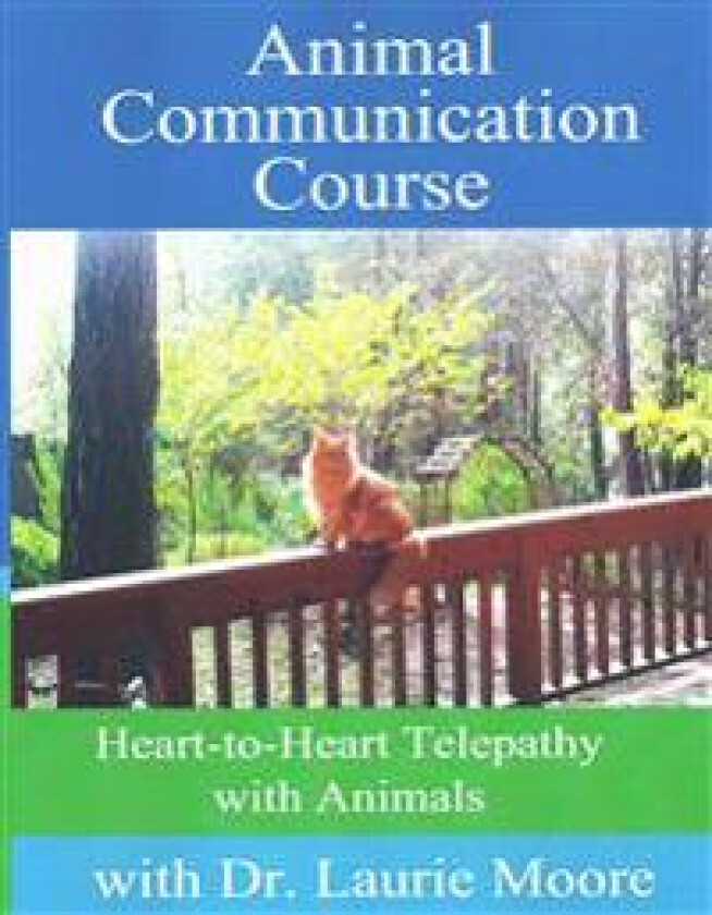 Animal Communication Course: Heart-to-Heart Telepathy with Animals