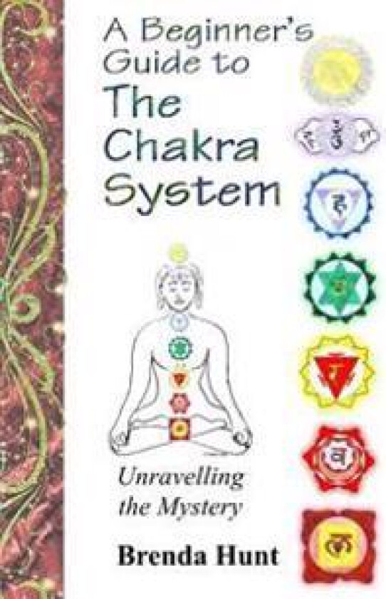 A Beginner's Guide to the Chakra System