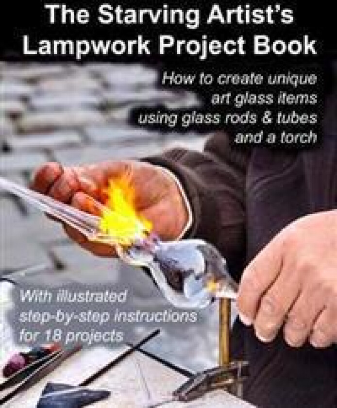 The Starving Artist's Lampwork Project Book
