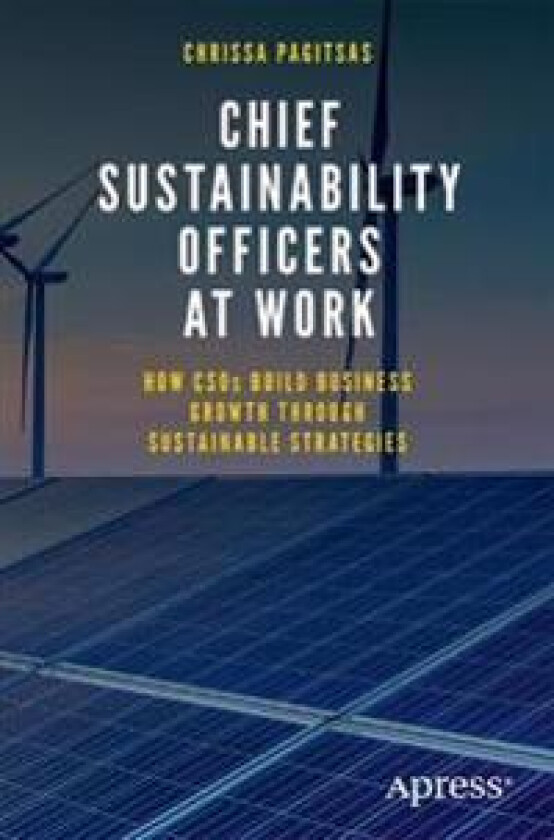 Chief Sustainability Officers At Work