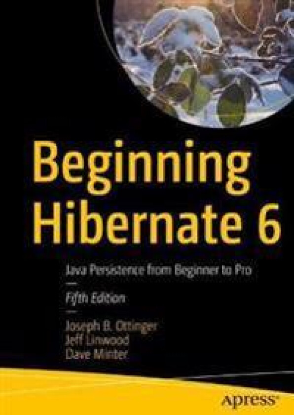Beginning Hibernate 6
